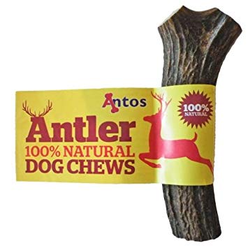 Antos Antler Dog Chew - Extra Large